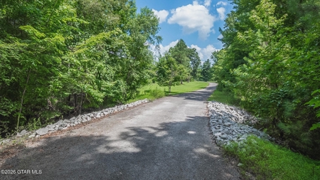 Trophy Bass Fishing and Hunting Property Starkville MS - image 47