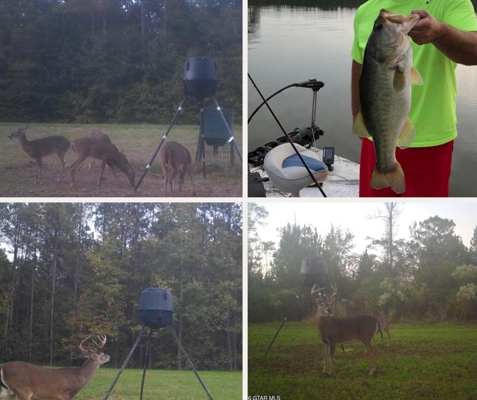 Trophy Bass Fishing and Hunting Property Starkville MS