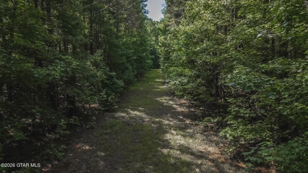 Trophy Bass Fishing and Hunting Property Starkville MS - image 43