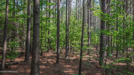Trophy Bass Fishing and Hunting Property Starkville MS - image 41