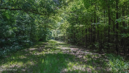 Trophy Bass Fishing and Hunting Property Starkville MS - image 38