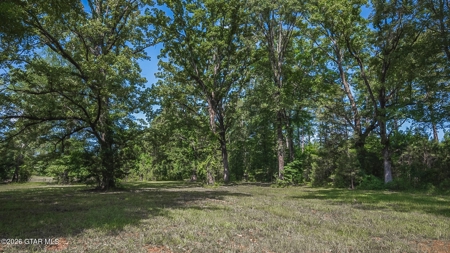 Trophy Bass Fishing and Hunting Property Starkville MS - image 44