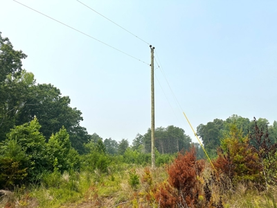 13.4 Acres of Buildable Freedom in Halifax County, VA - image 19