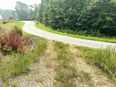 13.4 Acres of Buildable Freedom in Halifax County, VA - image 5