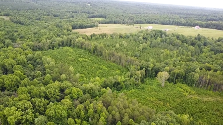 13.4 Acres of Buildable Freedom in Halifax County, VA - image 10