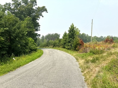 13.4 Acres of Buildable Freedom in Halifax County, VA - image 8