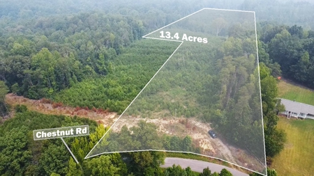 13.4 Acres of Buildable Freedom in Halifax County, VA - image 4