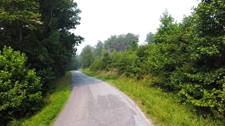 13.4 Acres of Buildable Freedom in Halifax County, VA - image 20