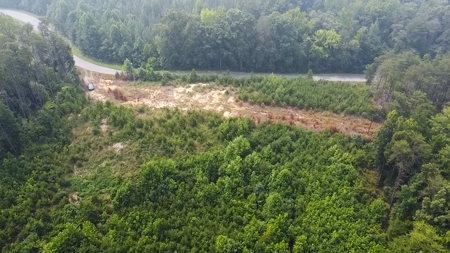 13.4 Acres of Buildable Freedom in Halifax County, VA - image 6