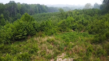 13.4 Acres of Buildable Freedom in Halifax County, VA - image 12