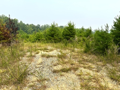 13.4 Acres of Buildable Freedom in Halifax County, VA - image 13