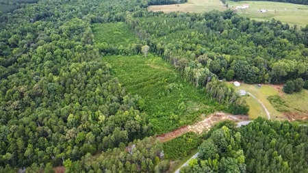 13.4 Acres of Buildable Freedom in Halifax County, VA - image 11