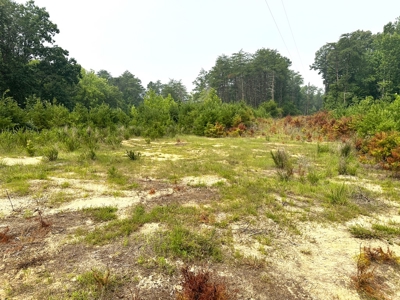 13.4 Acres of Buildable Freedom in Halifax County, VA - image 2