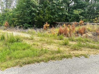 13.4 Acres of Buildable Freedom in Halifax County, VA - image 9