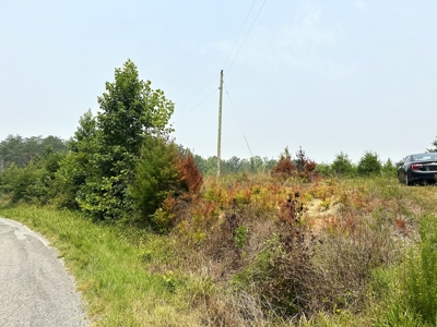 13.4 Acres of Buildable Freedom in Halifax County, VA - image 18