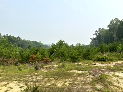 13.4 Acres of Buildable Freedom in Halifax County, VA - image 14