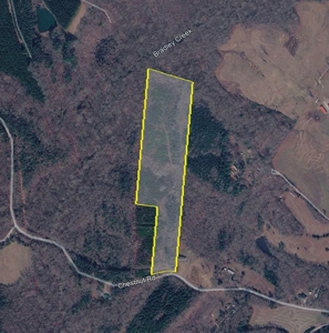 13.4 Acres of Buildable Freedom in Halifax County, VA - image 21