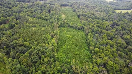 13.4 Acres of Buildable Freedom in Halifax County, VA - image 3