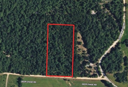 5.05 Wooded Acres Ready for Your New Home or Hunting Retreat - image 6