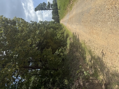 5.05 Wooded Acres Ready for Your New Home or Hunting Retreat - image 5