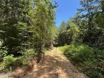 Listing 223