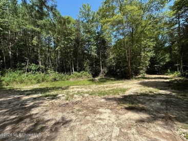 Listing 223