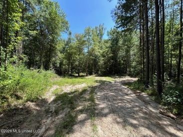 Listing 223