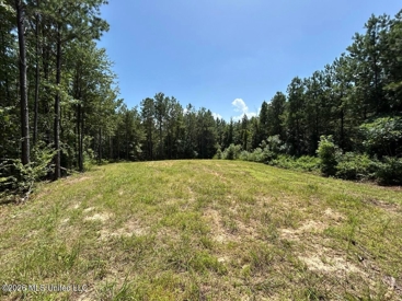 Listing 223