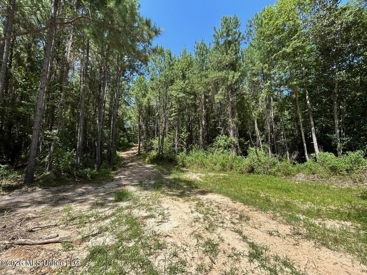 Listing 223