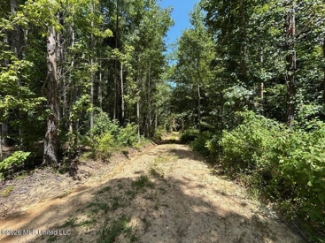 Listing 223