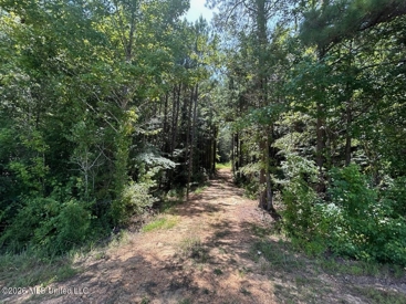 Listing 223