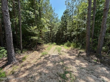 Listing 223