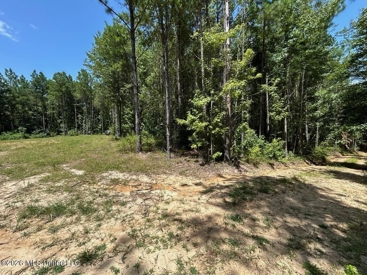 Listing 223