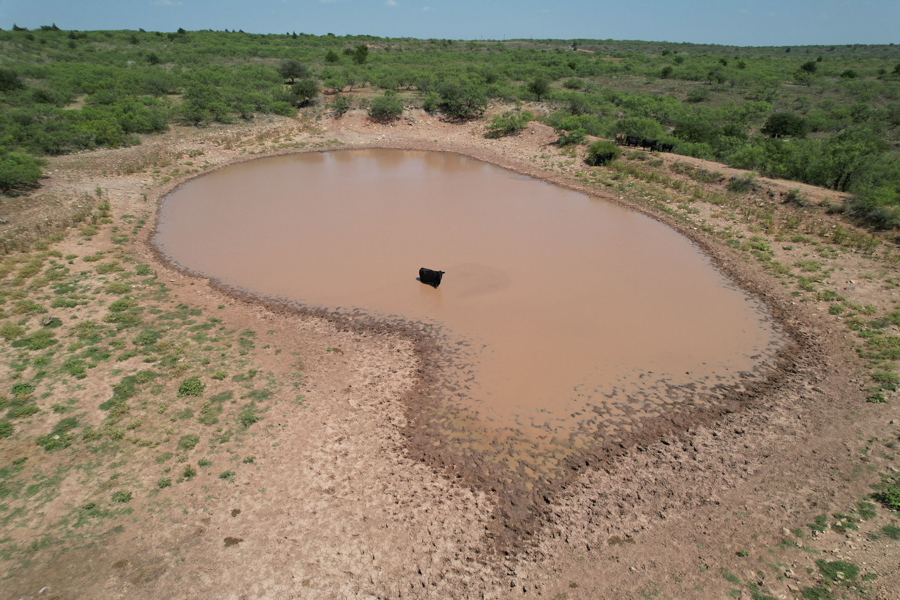 No Caption