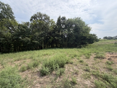 Build Your Dream Home Here!  Cameron Small Acreage For Sale - image 4