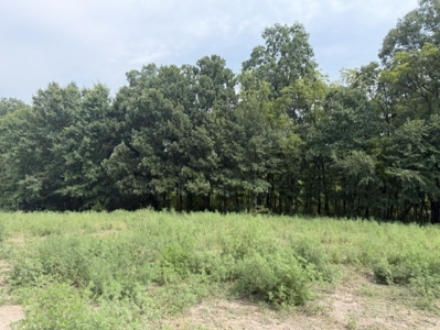 Build Your Dream Home Here!  Cameron Small Acreage For Sale - image 3