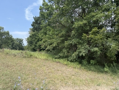 Build Your Dream Home Here!  Cameron Small Acreage For Sale - image 7