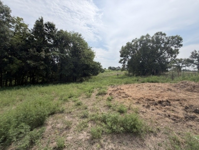 Build Your Dream Home Here!  Cameron Small Acreage For Sale - image 5