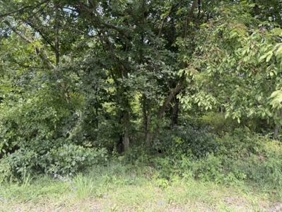 Build Your Dream Home Here!  Cameron Small Acreage For Sale - image 6