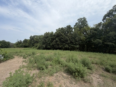 Build Your Dream Home Here!  Cameron Small Acreage For Sale - image 2