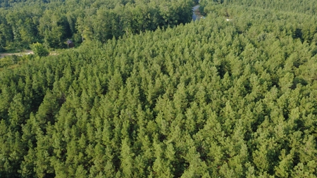 Land for Sale in Perry County, Tennessee - image 4