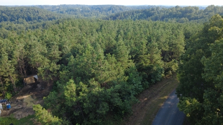Land for Sale in Perry County, Tennessee - image 2