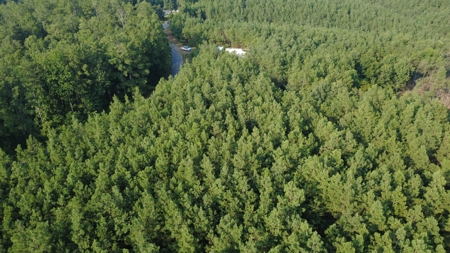 Land for Sale in Perry County, Tennessee - image 3