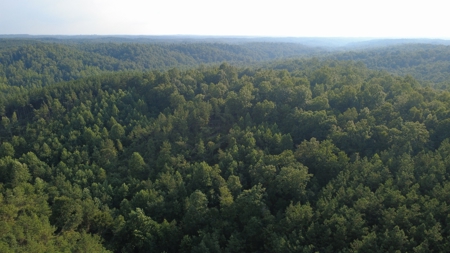 Land for Sale in Perry County, Tennessee - image 5