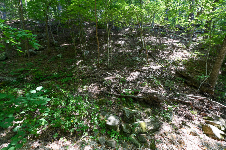 No Caption