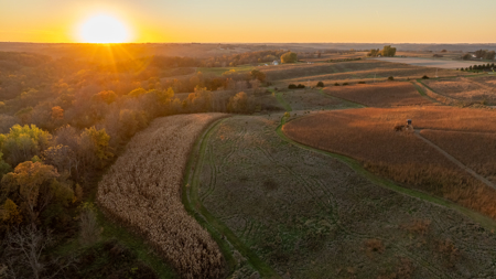 42+/- Acres with 4 Bedroom Home in Decorah IA - image 3