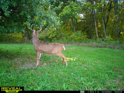 42+/- Acres with 4 Bedroom Home in Decorah IA - image 18