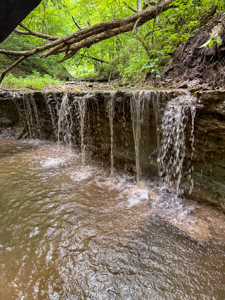 42+/- Acres with 4 Bedroom Home in Decorah IA - image 9