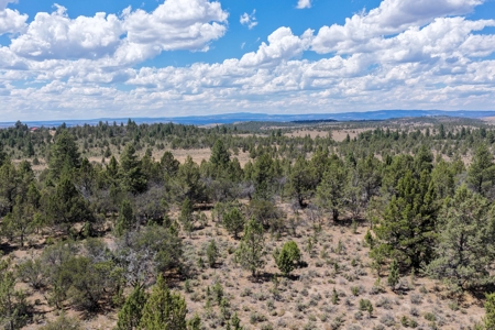 Eastern Oregon Lone Pine Cabin - image 30
