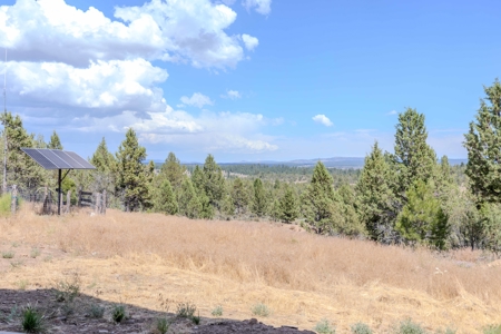 Eastern Oregon Lone Pine Cabin - image 16